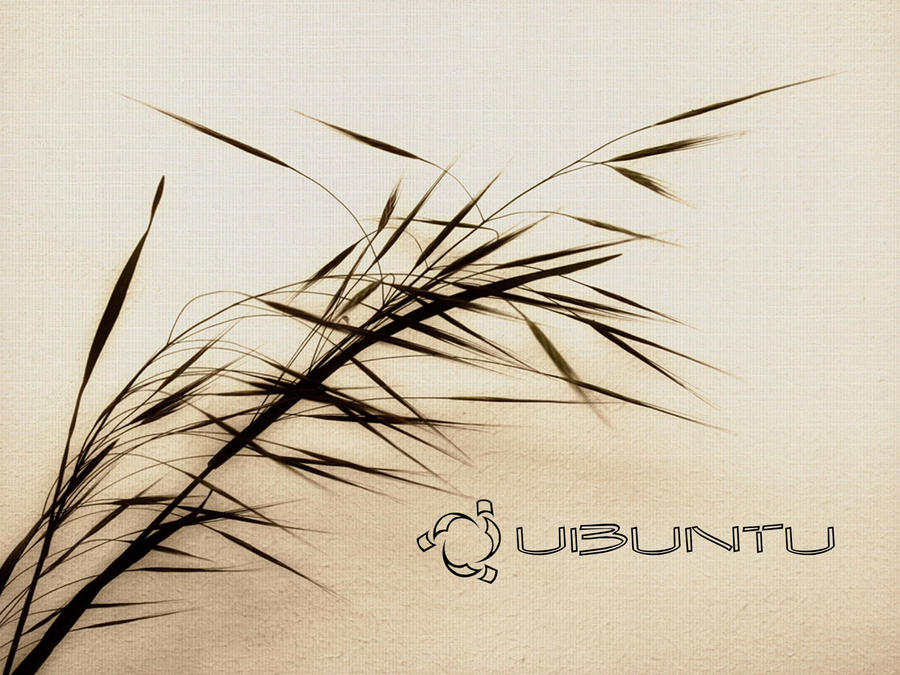 ubuntu rice by michaelgoldthriteart on DeviantArt