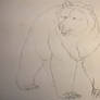 Bear Drawing #2