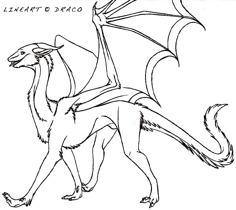 Furry Dragon Lineart