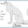 Olathe Character Sheet
