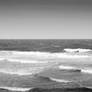 Waves in black and white