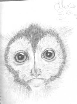 Lemur