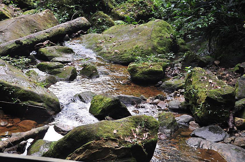 Cataratas de Ahuashiyacu