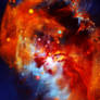 Fire Phoenix Rebirth