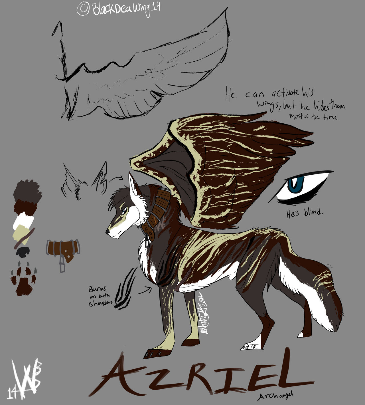 Azriel Sheet 2022 by BlackDeaWing14 on DeviantArt