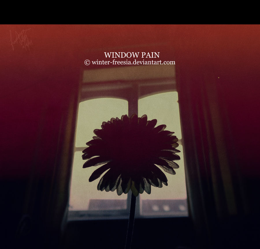 Window Pain Graphics Window Pain by Winter-Freesia on DeviantArt
