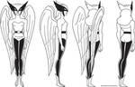 Hawkwoman Model Sheet