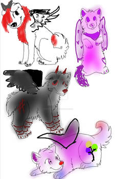 Winged canine puppy adopts