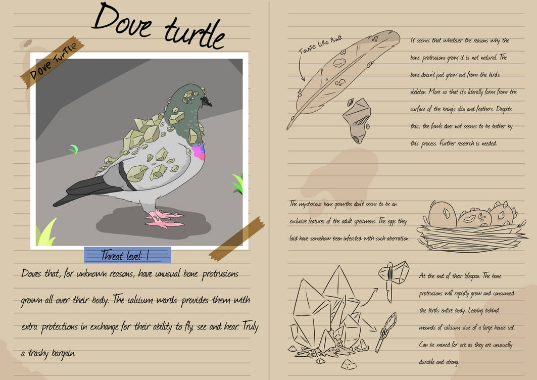 Dove Turtle By Firefirewindwater On DeviantArt