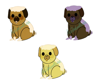 Cinnapug Adopts Batch 1