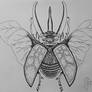 escarabajo ~ beetle
