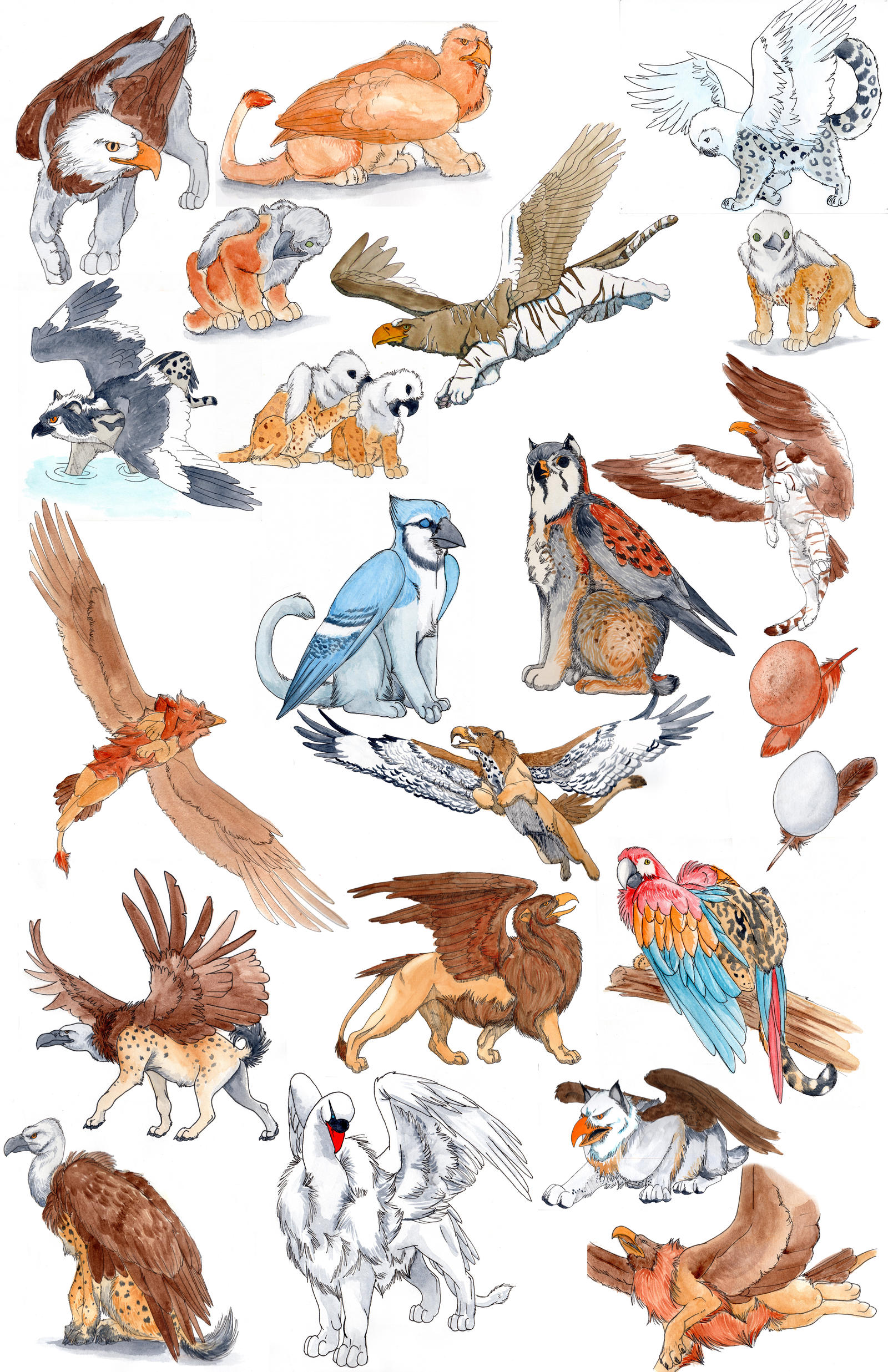 Gryphon Paintings