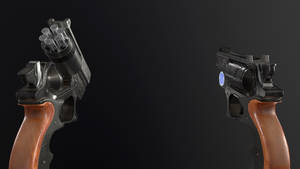 Police revolver FPS view