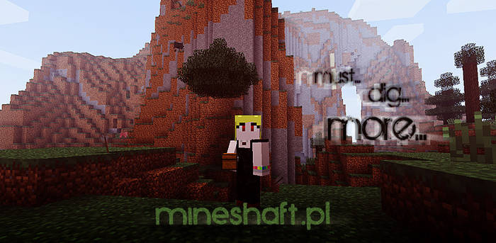 mineshaft.pl