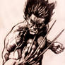 wolverine