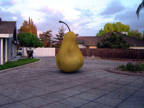 giant pear