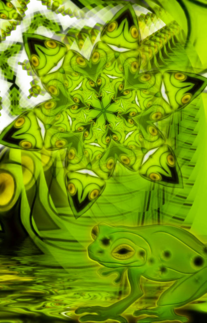 Frog Dimensions by InfiniteFiend on DeviantArt