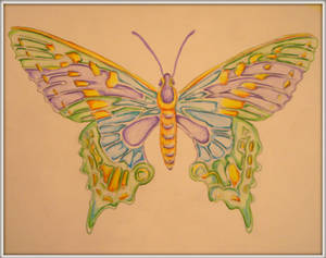 Vivians Butterfly