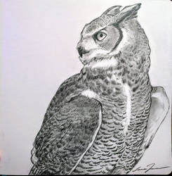 Great horned owl commision
