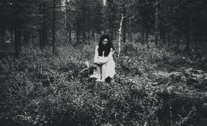 into the woods by cdhphotography