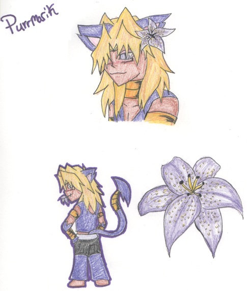 Pokeflower- Lily