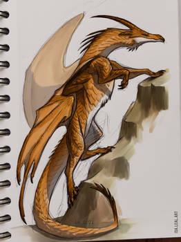 Orange Dragon