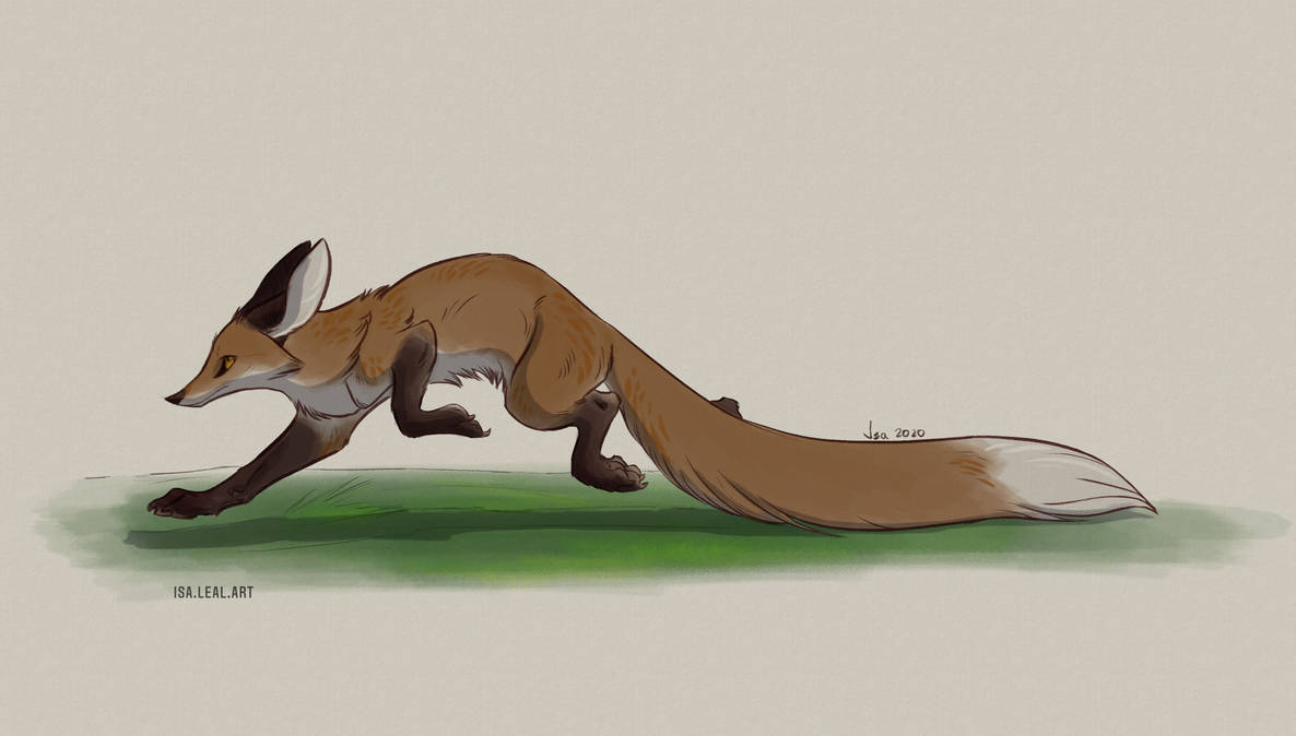 Running Fox by Isalealart on DeviantArt