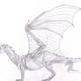 Anatomy of the Pernese Dragon