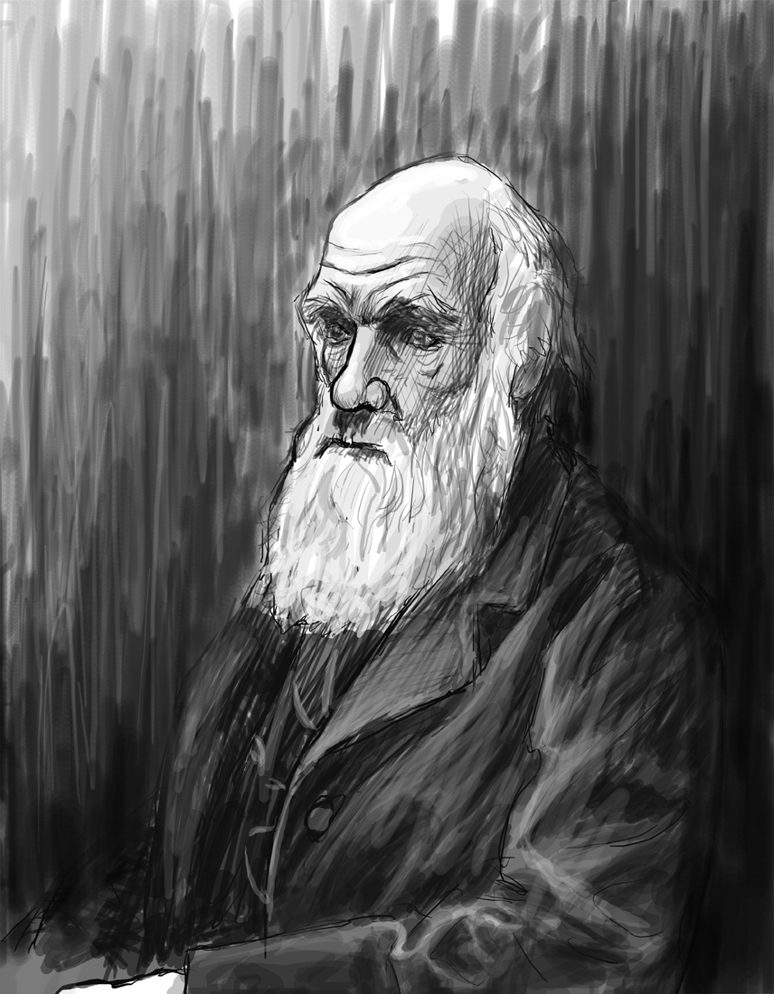 Charles Darwin Sketch