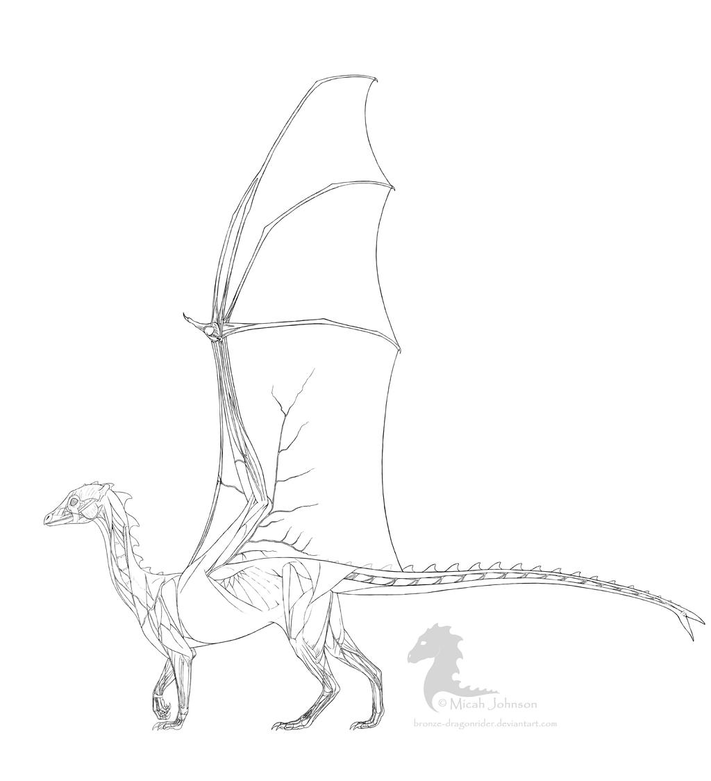 Draw Fire Lizard Firelizard Anatomy line art by bronze-dragonrider on DeviantArt