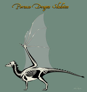Pernese dragon skeleton