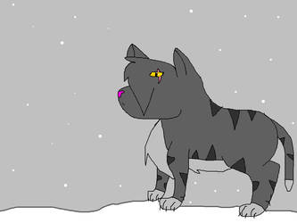 8.Darkstripe