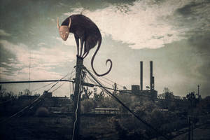 Bicho volador by DelusionalAsylum Bicho volador by DelusionalAsylum