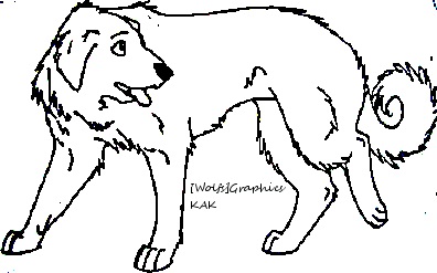 Anatolian Shepherd Line art