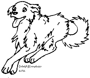 Border collie line art