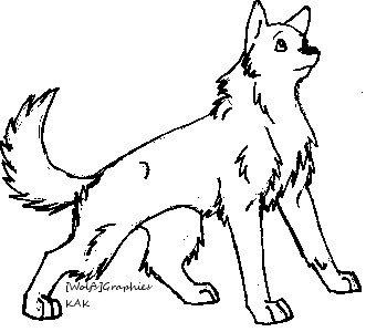 Tamaskan Line art