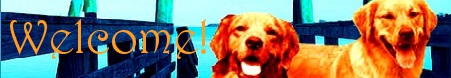 Goldens Header Welcome