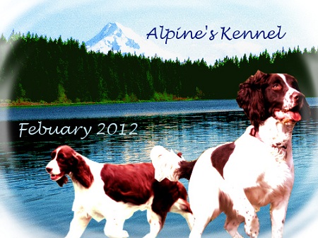 Alpine Kennels Banner