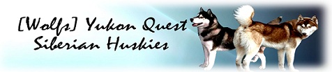 [Wolfs] Yukon Quest Siberian Husky Banner