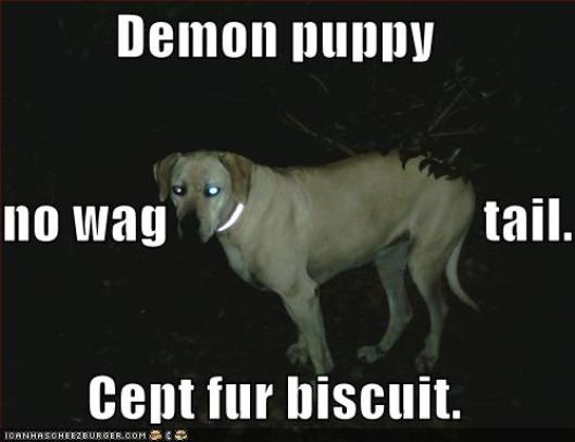 Demon Biscuit