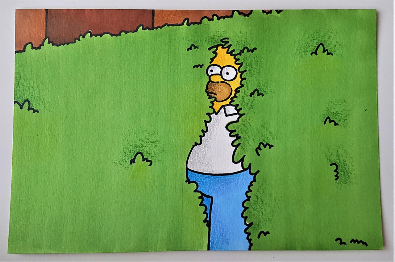 Simson Hide The Simpsons - Homer hiding (2022) by Misha505 on DeviantArt