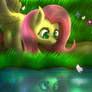 Fluttershy and mysterious butterflies (Day)