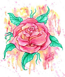 Aquarelle Rose