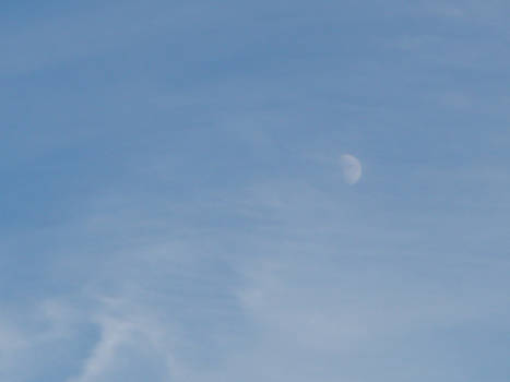 Moon in the daylight