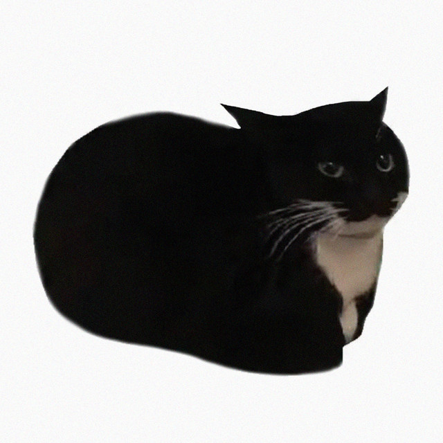 Maxwell Cat meme By Dazzlerlemmykoopa200 On DeviantArt maxwell-cat-meme-by-dazzlerlemmykoopa200-on-deviantart