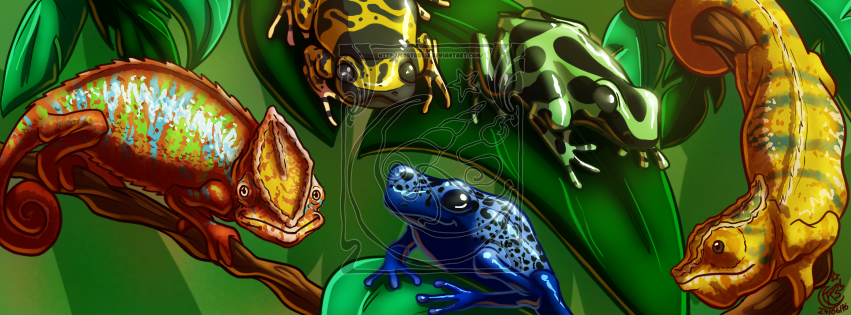 CM - Chameleons and Frogs banner