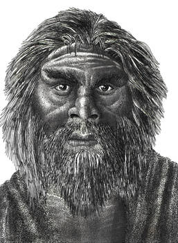 Homo Neanderthalensis