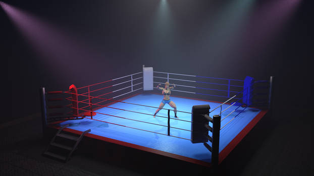 MMA Demolition Arena