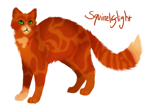 Squirrelflight