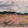 Sea of flowers
